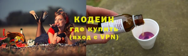 ГАЛЛЮЦИНОГЕННЫЕ ГРИБЫ Наволоки