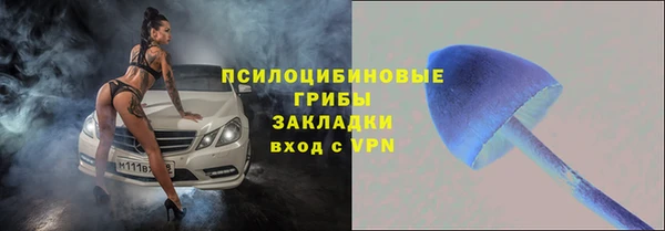 крисы Нефтегорск
