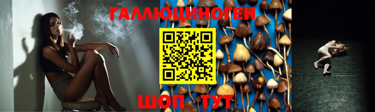 Галлюциногенные грибы MAGIC MUSHROOMS Родники