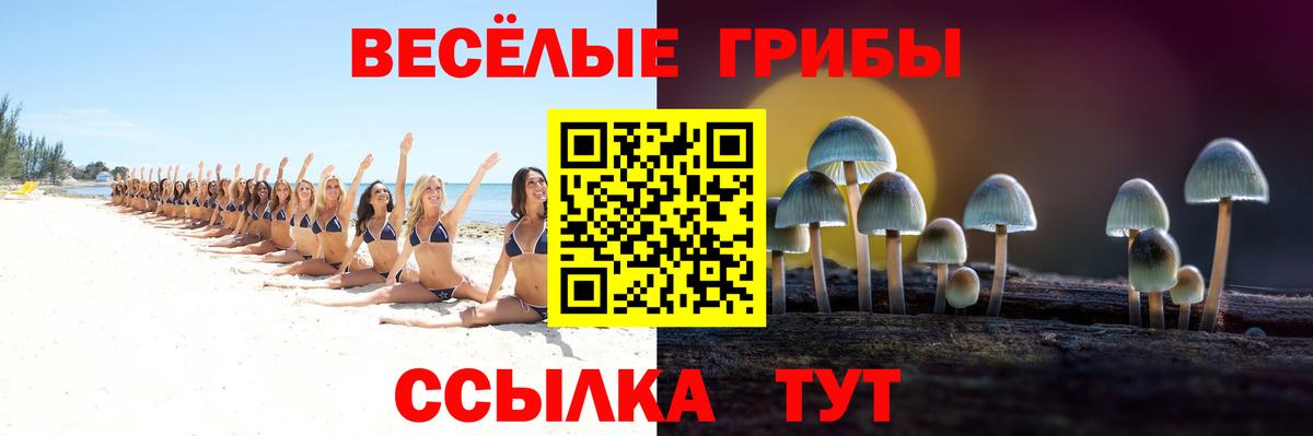 Галлюциногенные грибы мицелий  Вход с VPN  наркотики  Псилоцибиновые грибы мицелий  Родники 